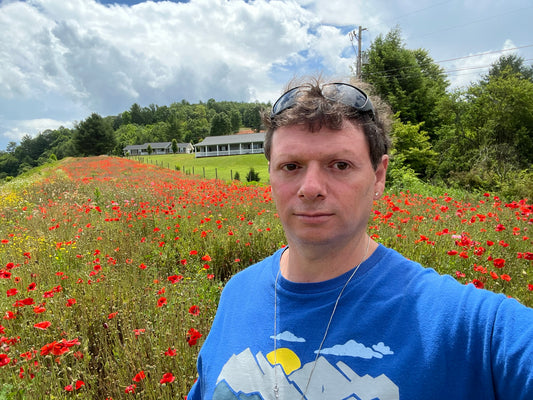 Field Poppy in the Mountains of North Carolina