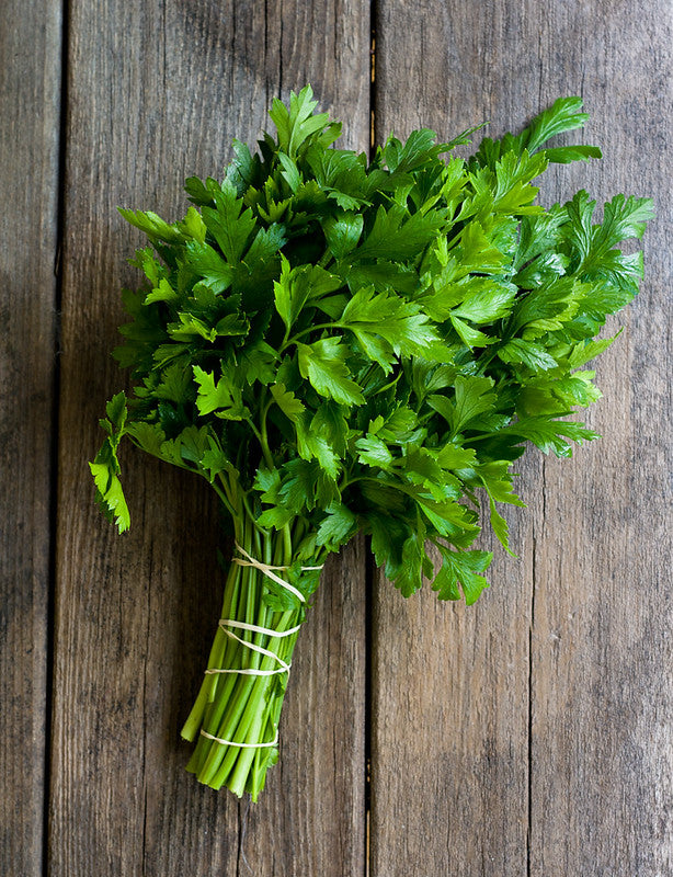 Parsley 100 Seeds Petroselinum crispum