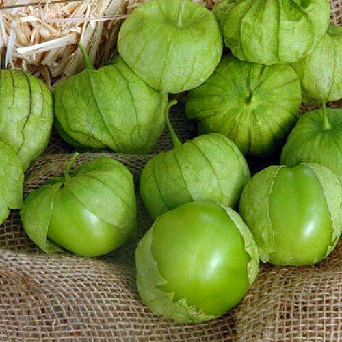 Tomatillo 20 Seeds Physalis philadelphica