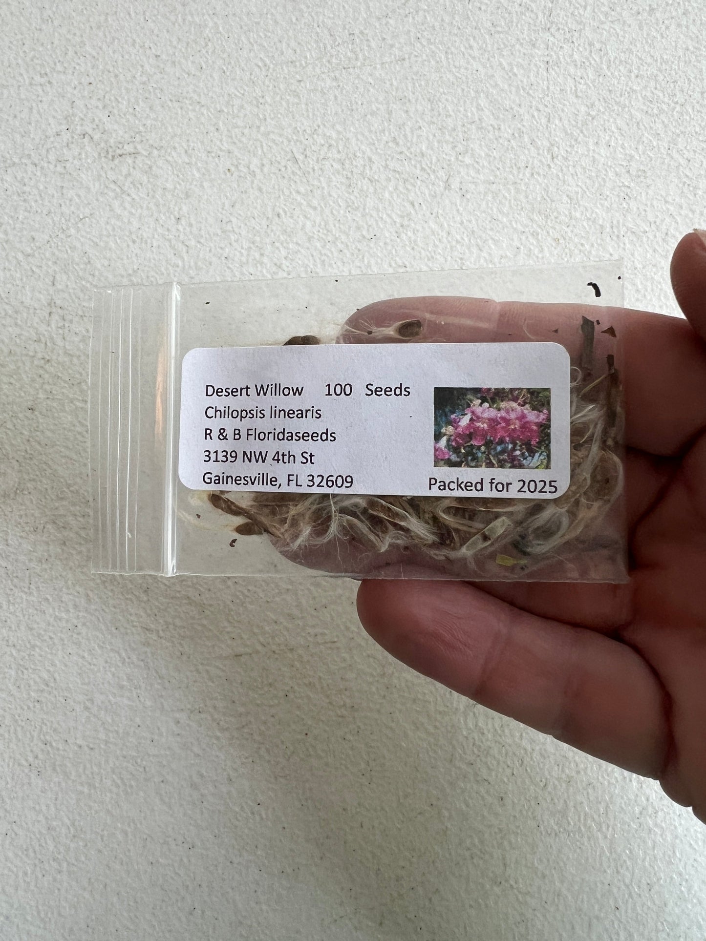 Desert Willow Chilopsis linearis 100 Seeds