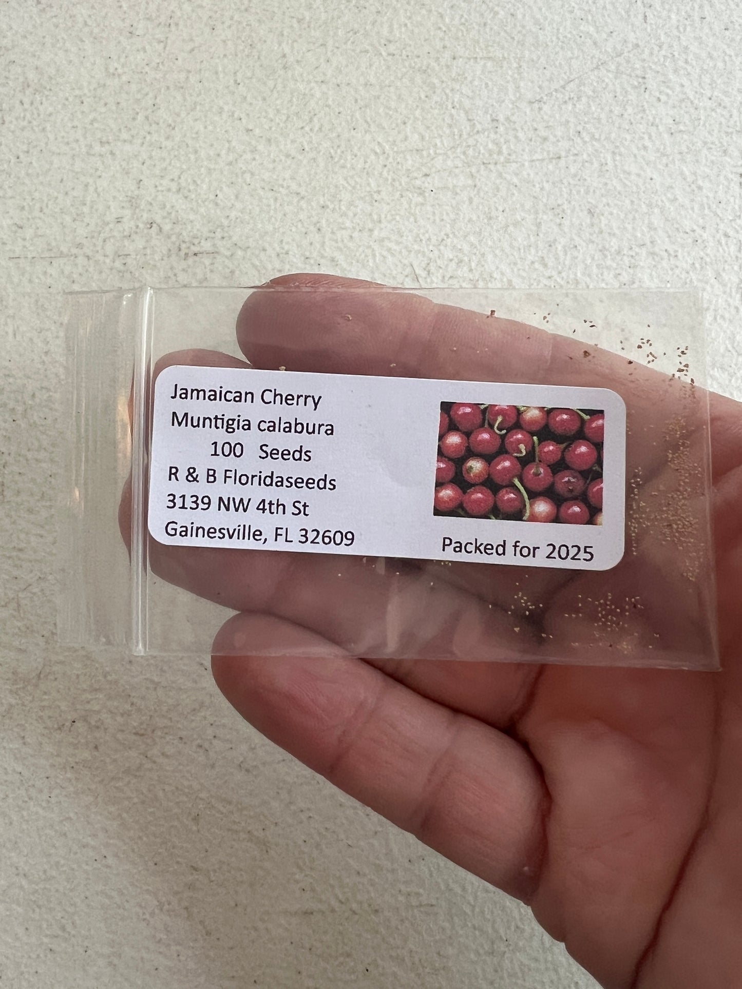 Jamaican Cherry Muntingia calabura 100 Seeds