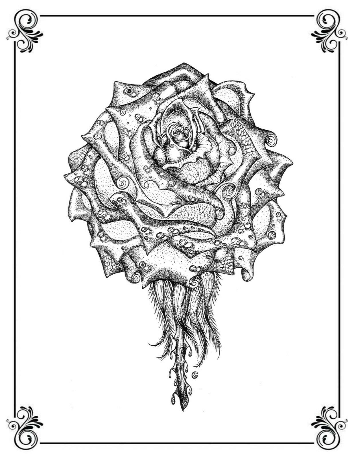 Print of an Illustration of A Rose Flower