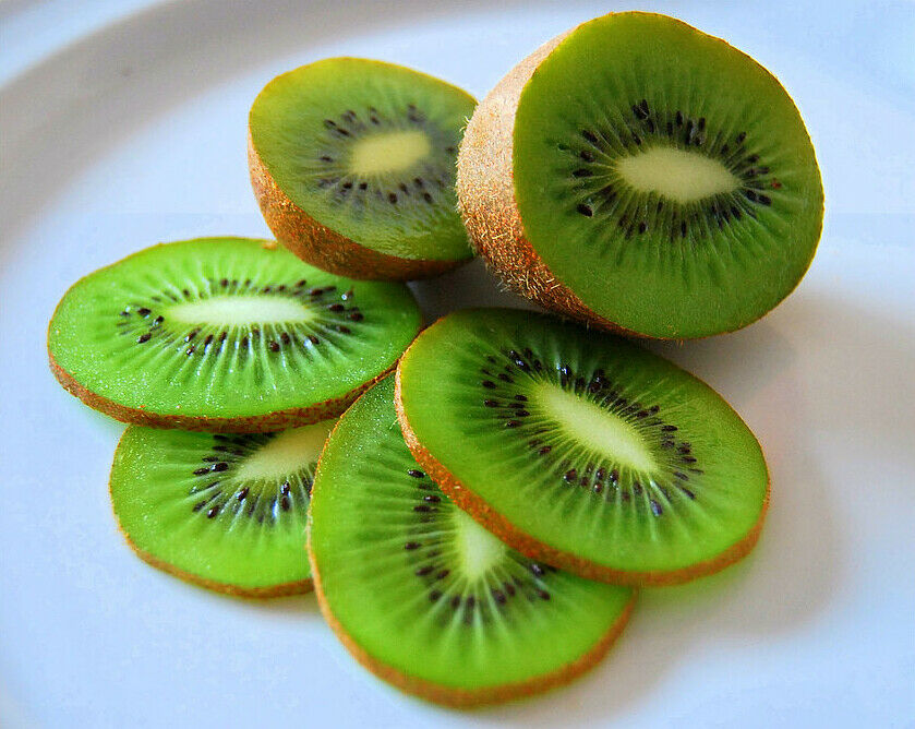 Kiwi Fruit Actinidia deliciosa 20 Seeds  USA Company