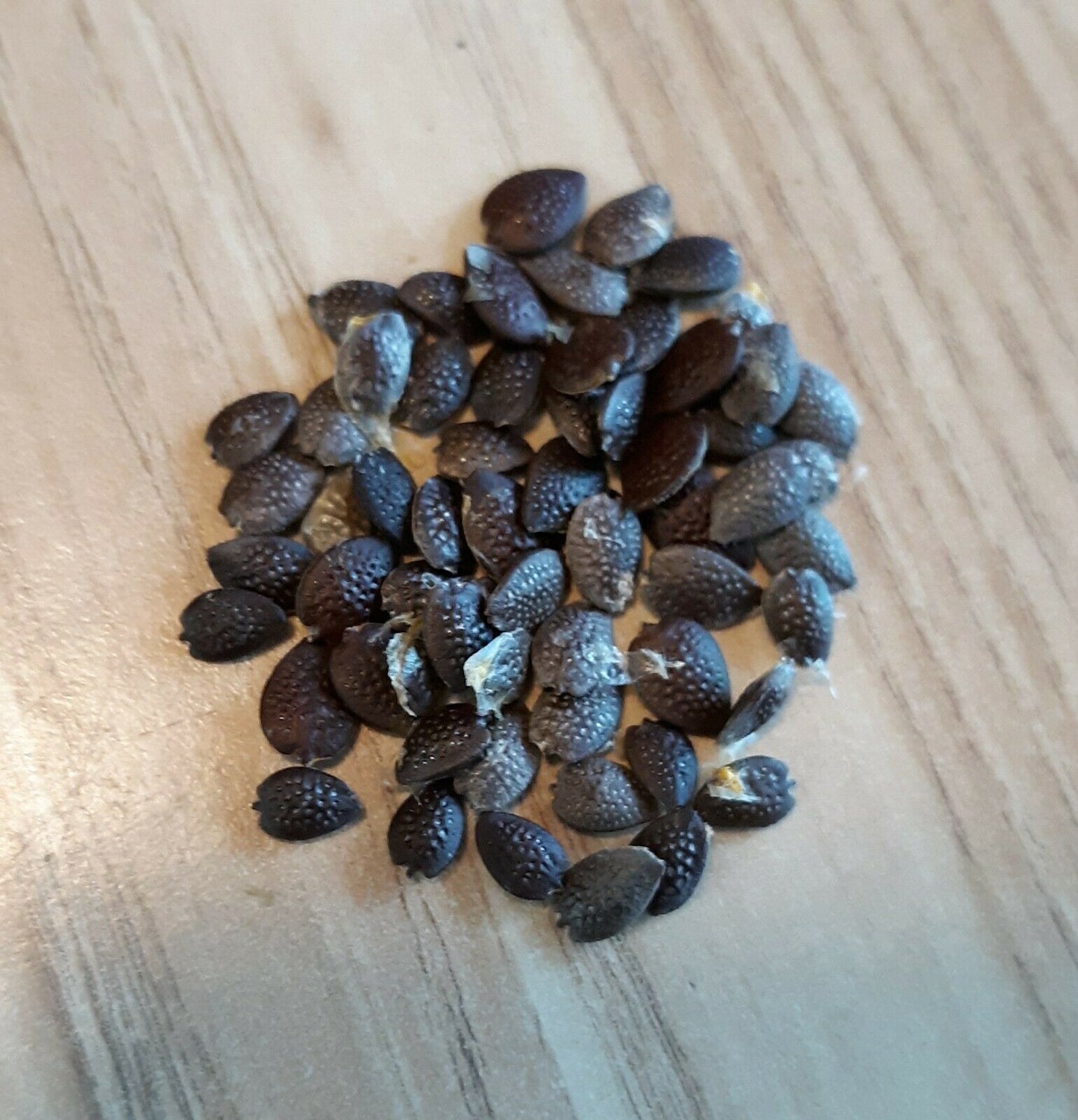 Yellow Passion Fruit Granadilla Passiflora edulis 20 Seeds