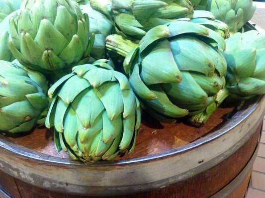 Artichoke   10 Seeds   Cynara scolymus