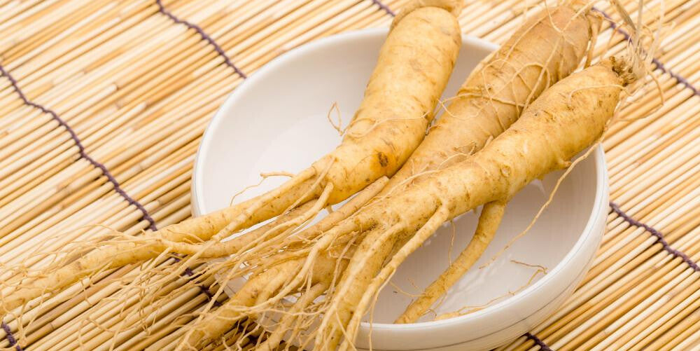 Asian Ginseng Panax ginseng 10 Seeds  USA Company