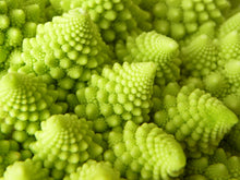Load image into Gallery viewer, Romanesco Broccoli  20 Seeds  Brassica oleracea