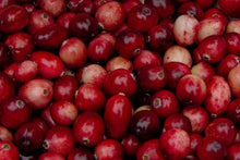 Load image into Gallery viewer, Cranberry Vaccinium macrocarpon 500 Seeds