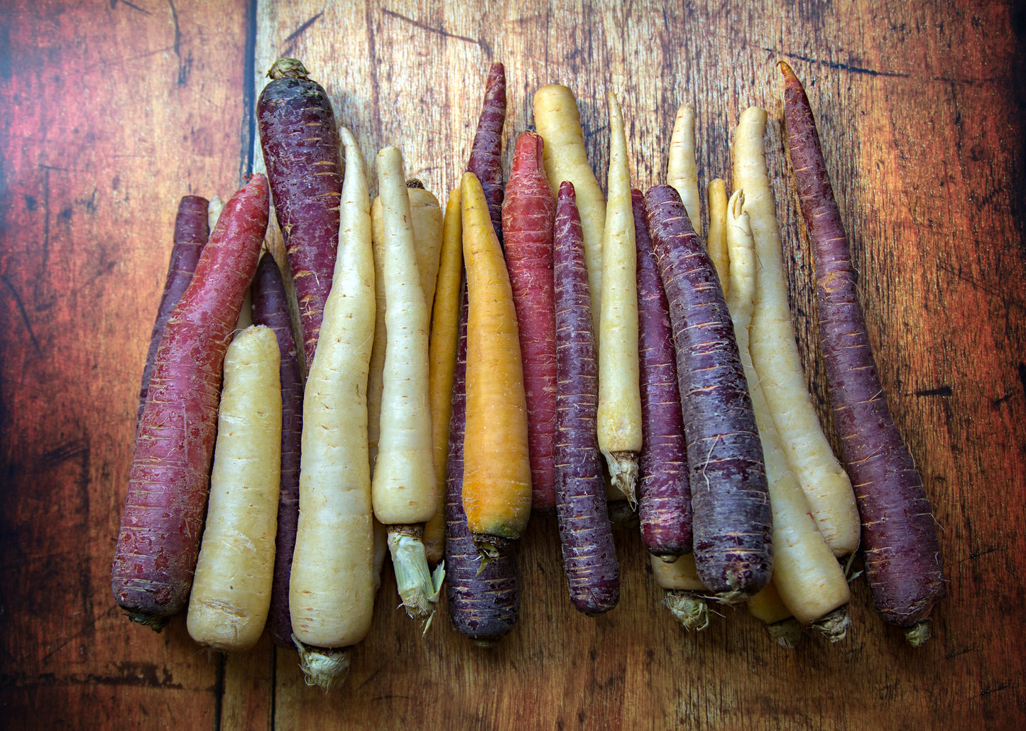 Rainbow Carrot Mix   100 Seeds   Daucus carota