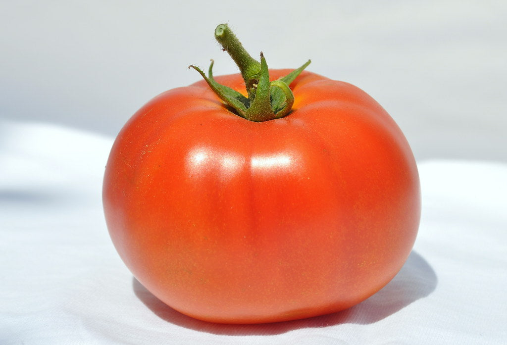 Beefsteak Tomato   100 Seeds   Lycopersicon esculentum