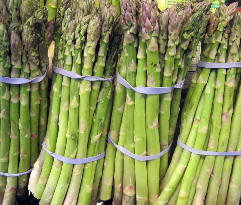 Asparagus   20 Seeds   Asparagus officinalis