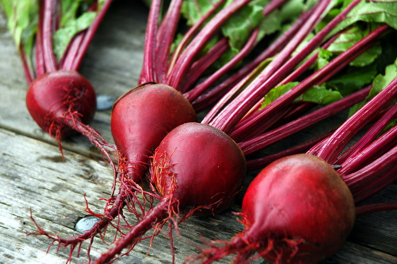 Dark Red Beet   100 Seeds   Beta vulgaris