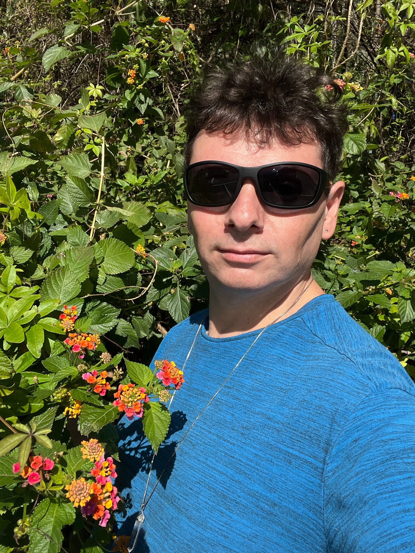 Orange Lantana  100 Seeds  Lantana camara