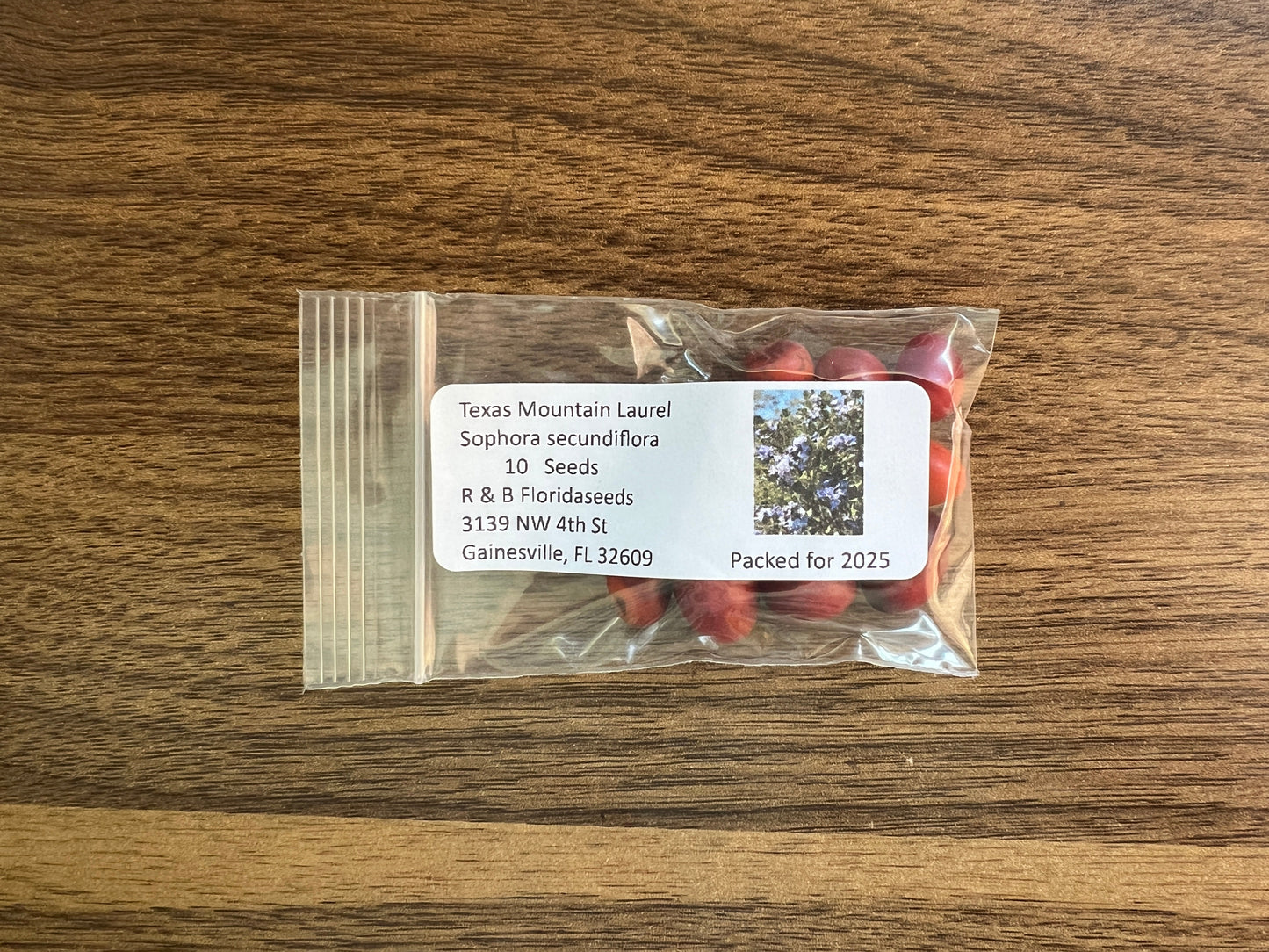 Texas Mountain Laurel  10 Seeds  Sophora secundiflora
