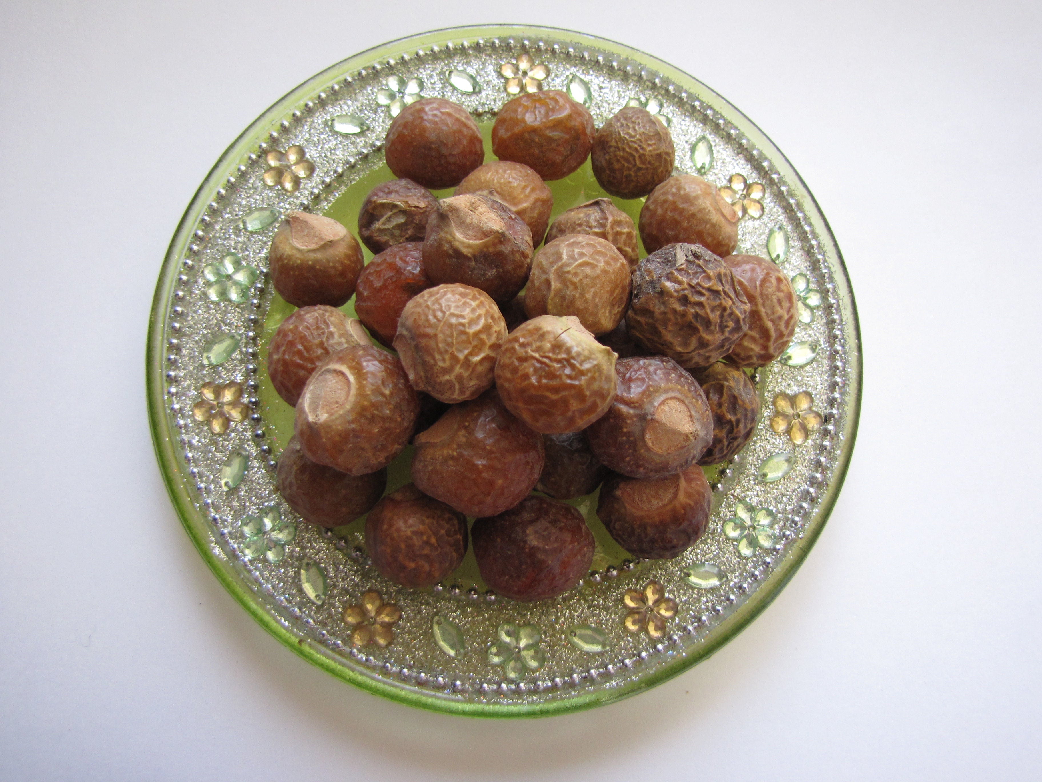 5 Graines D'arbre à Savon (Sapindus Morossi) – Savonnier Naturel, Facile à Cultiver, Pour Jardin Ou Projet écologique