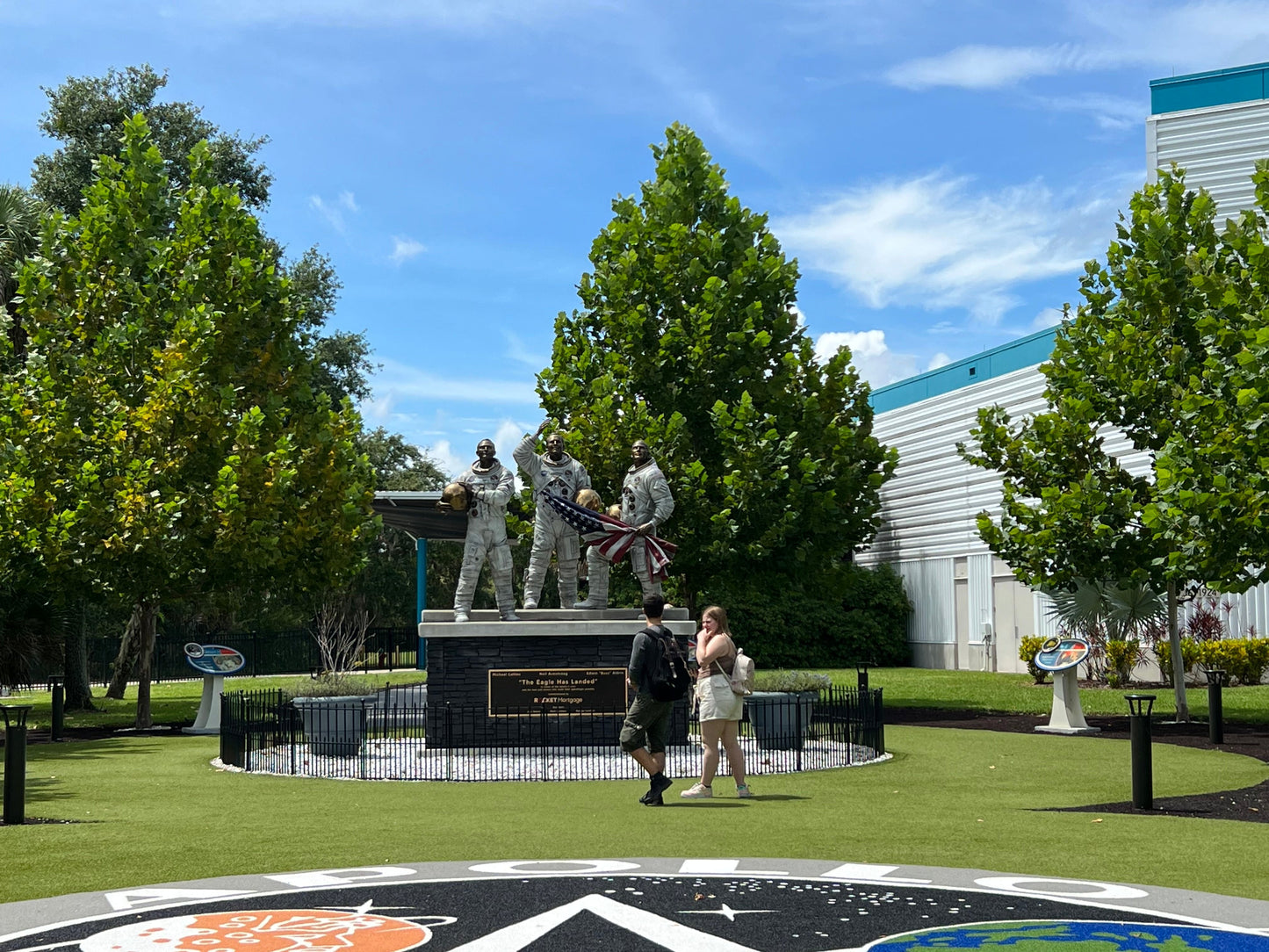 American Sycamore Moon Tree Platanus occidentalis 100 Seeds