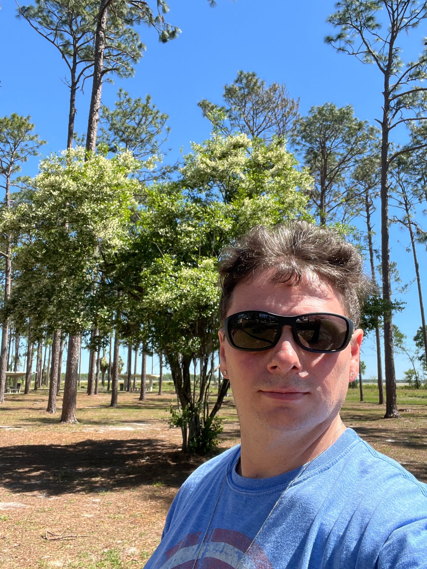 Sparkleberry Vaccinium arboreum 100 Seeds