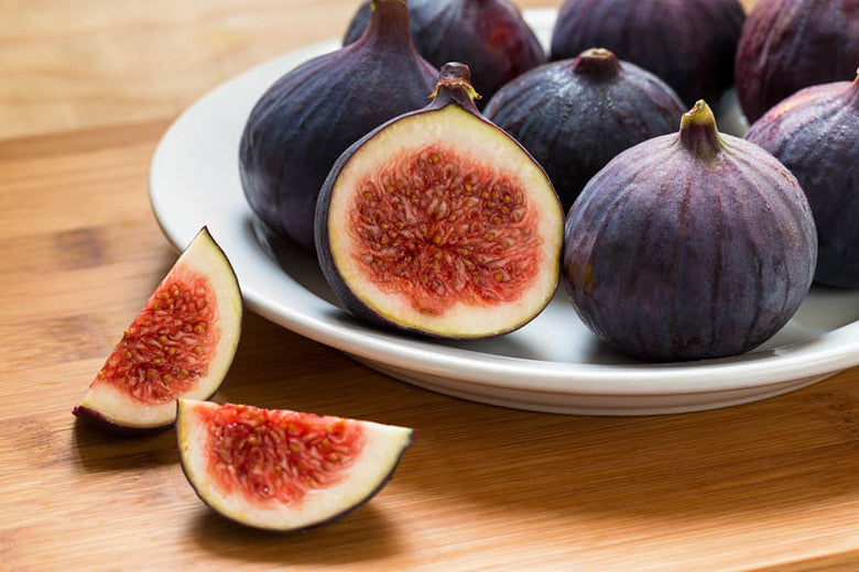 Common Fig Ficus carica 100 Seeds