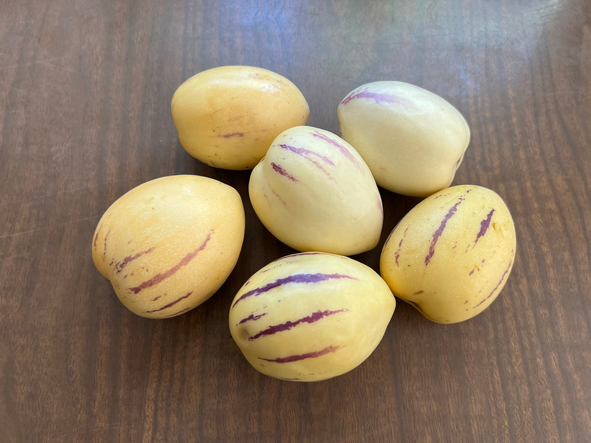 80001947 Pepino dulce purple Muricatum Melone 2 Samen 80001947 Pepino dulce purple Muricatum Melone 2 Samen