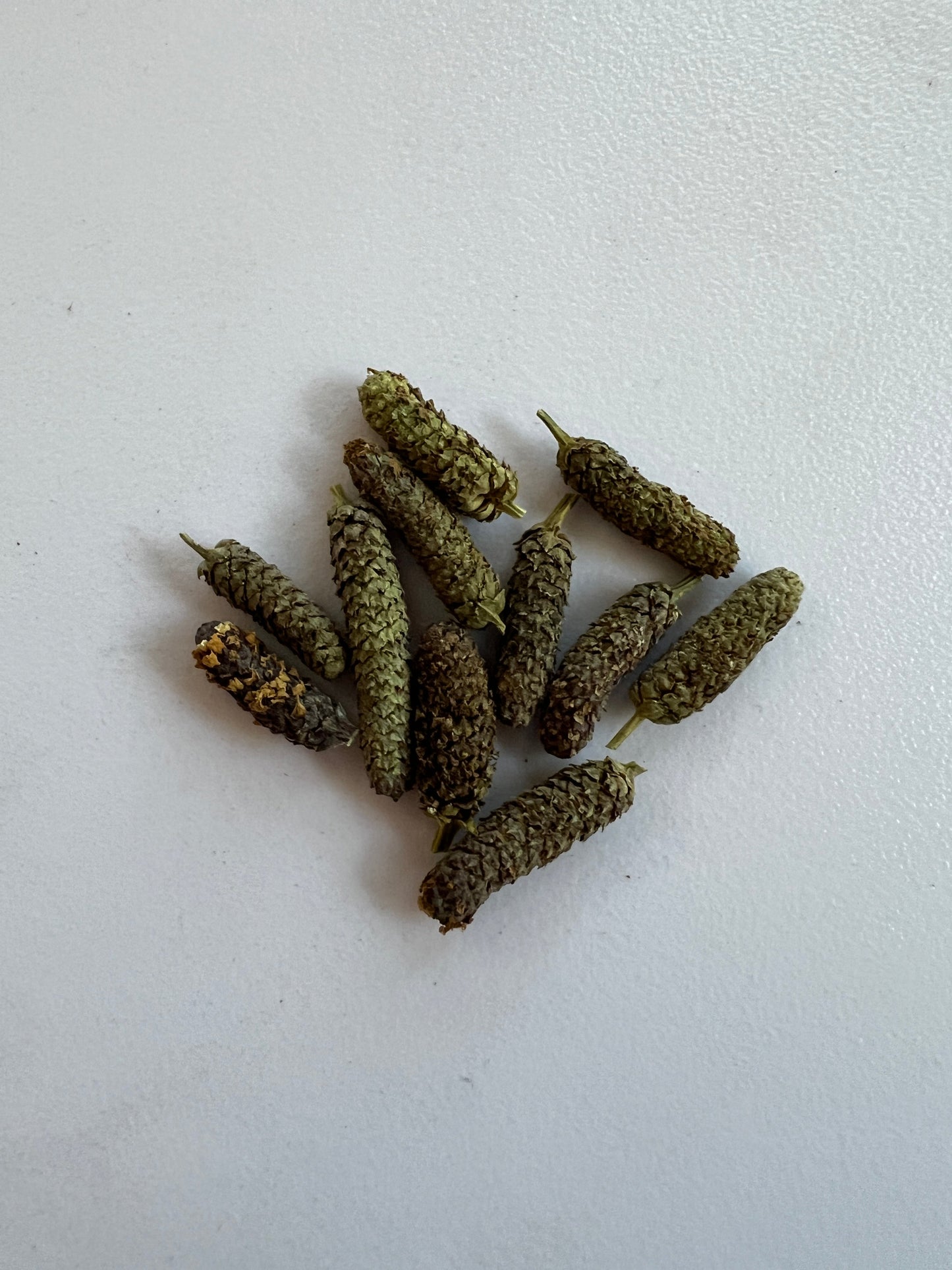 Frogfruit  10 Seeds  Lippia nodiflora