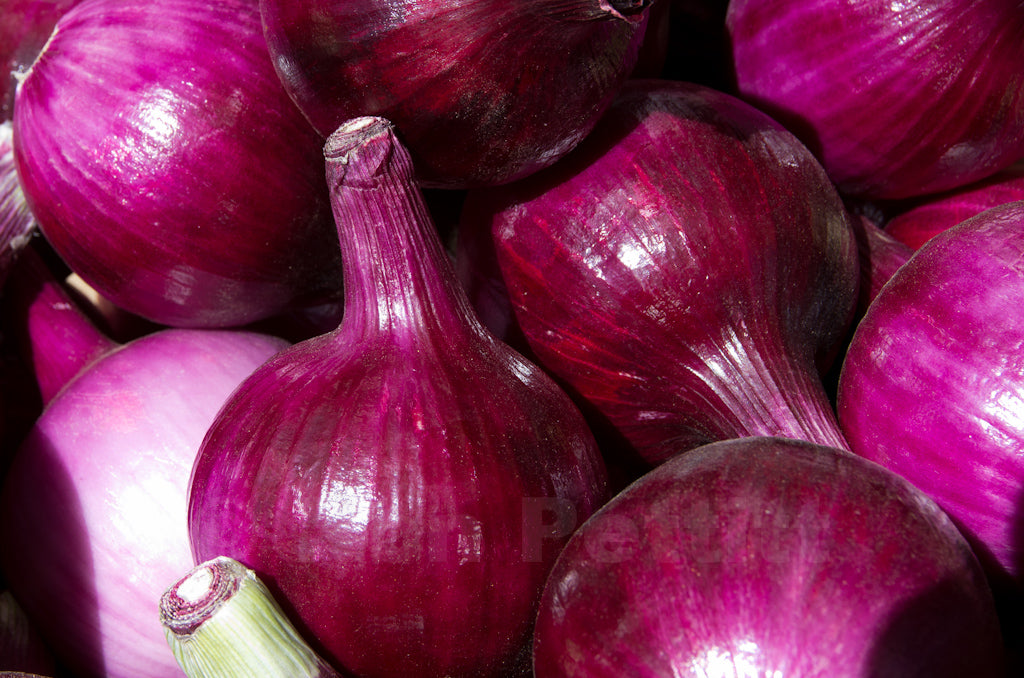Red Onion   100 Seeds   Allium cepa