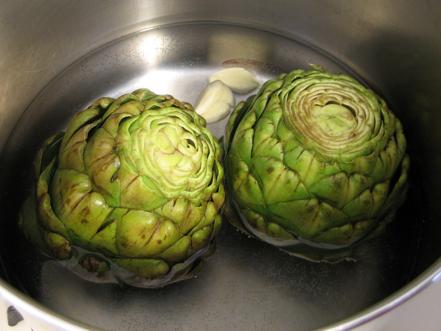 Artichoke   20 Seeds   Cynara scolymus