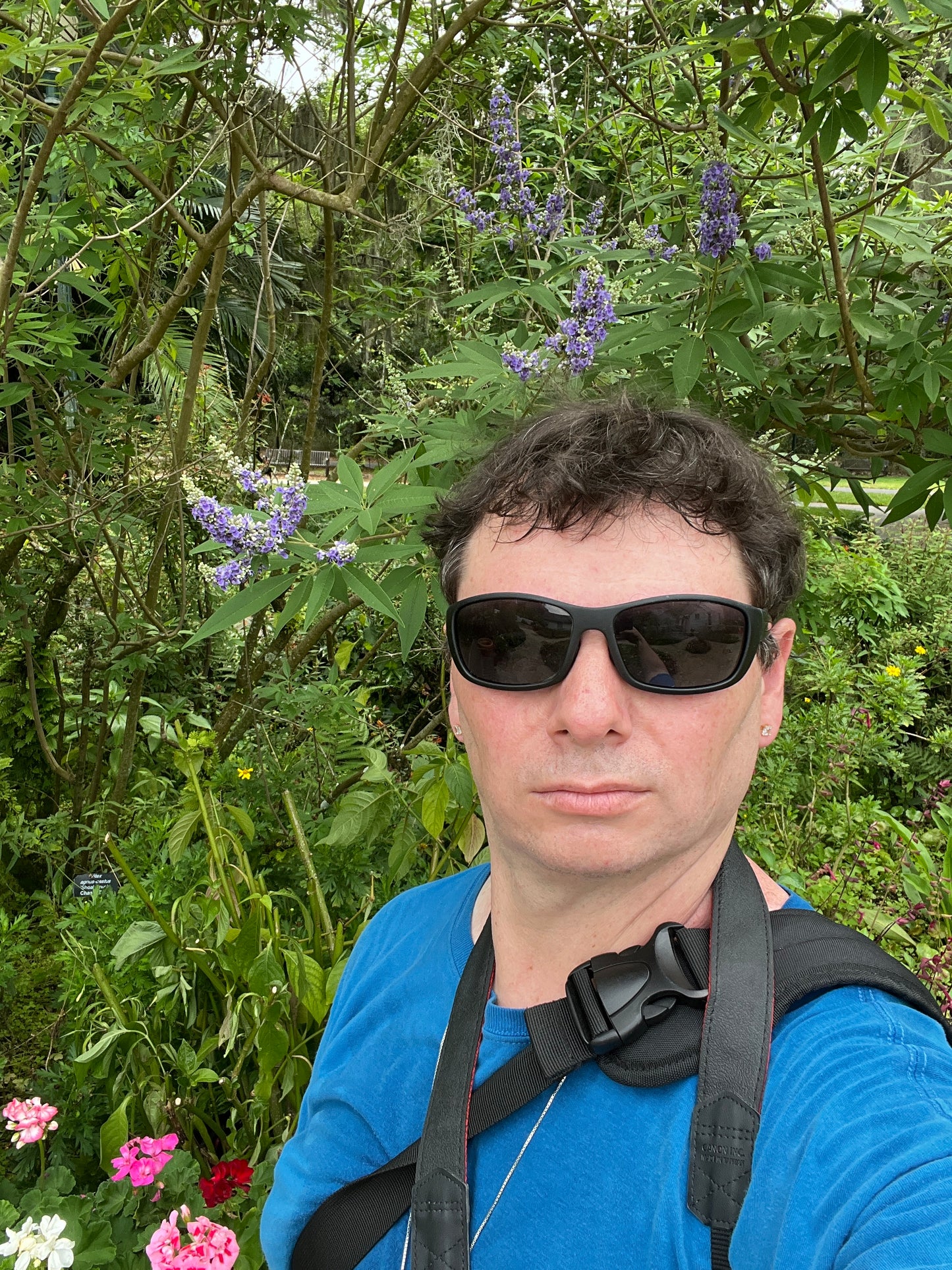 Chaste Tree Vitex agnus-castus 100 Seeds