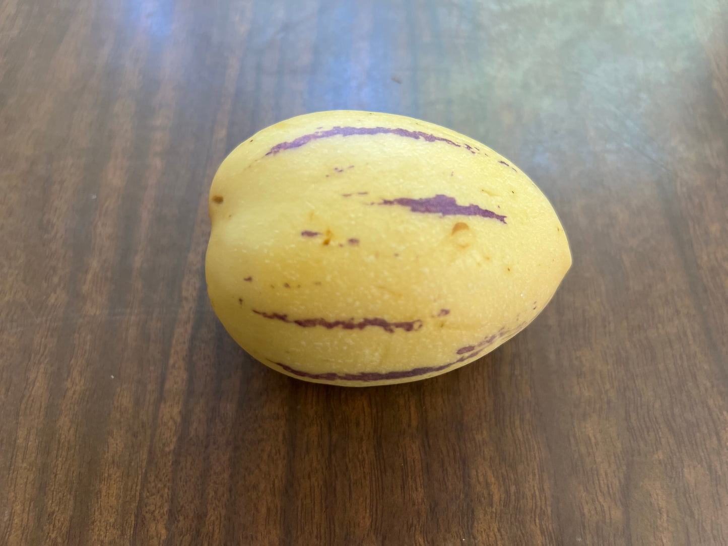Pepino Melon Tropical Fruit 5 Seeds Solanum muricatum