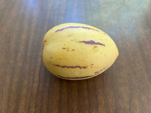Pepino Melon  Tropical Fruit  10 Seeds  Solanum muricatum