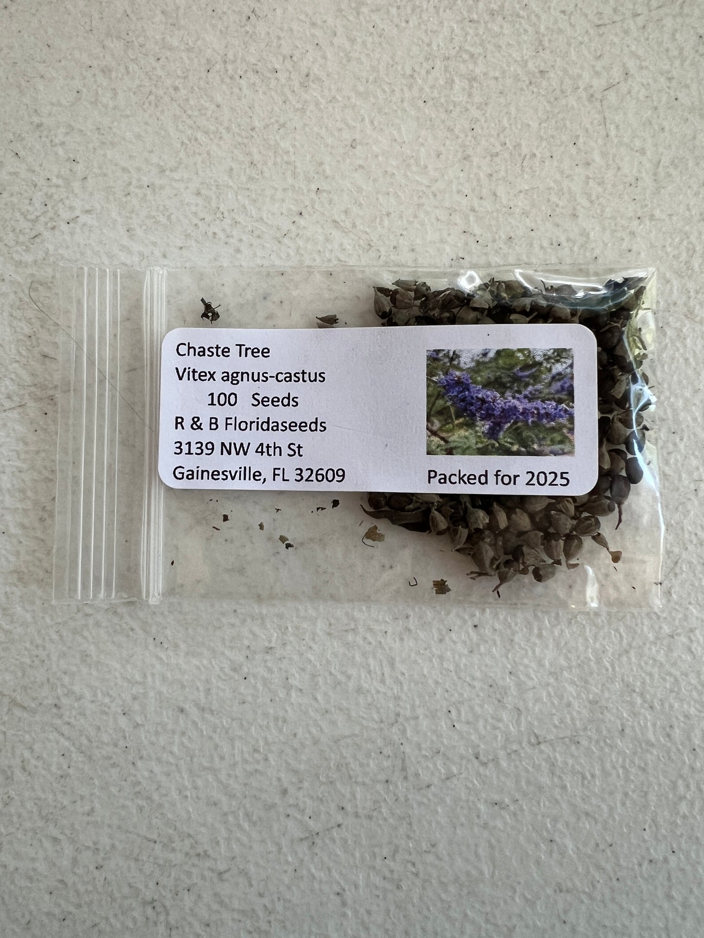 Chaste Tree Vitex agnus-castus 100 Seeds