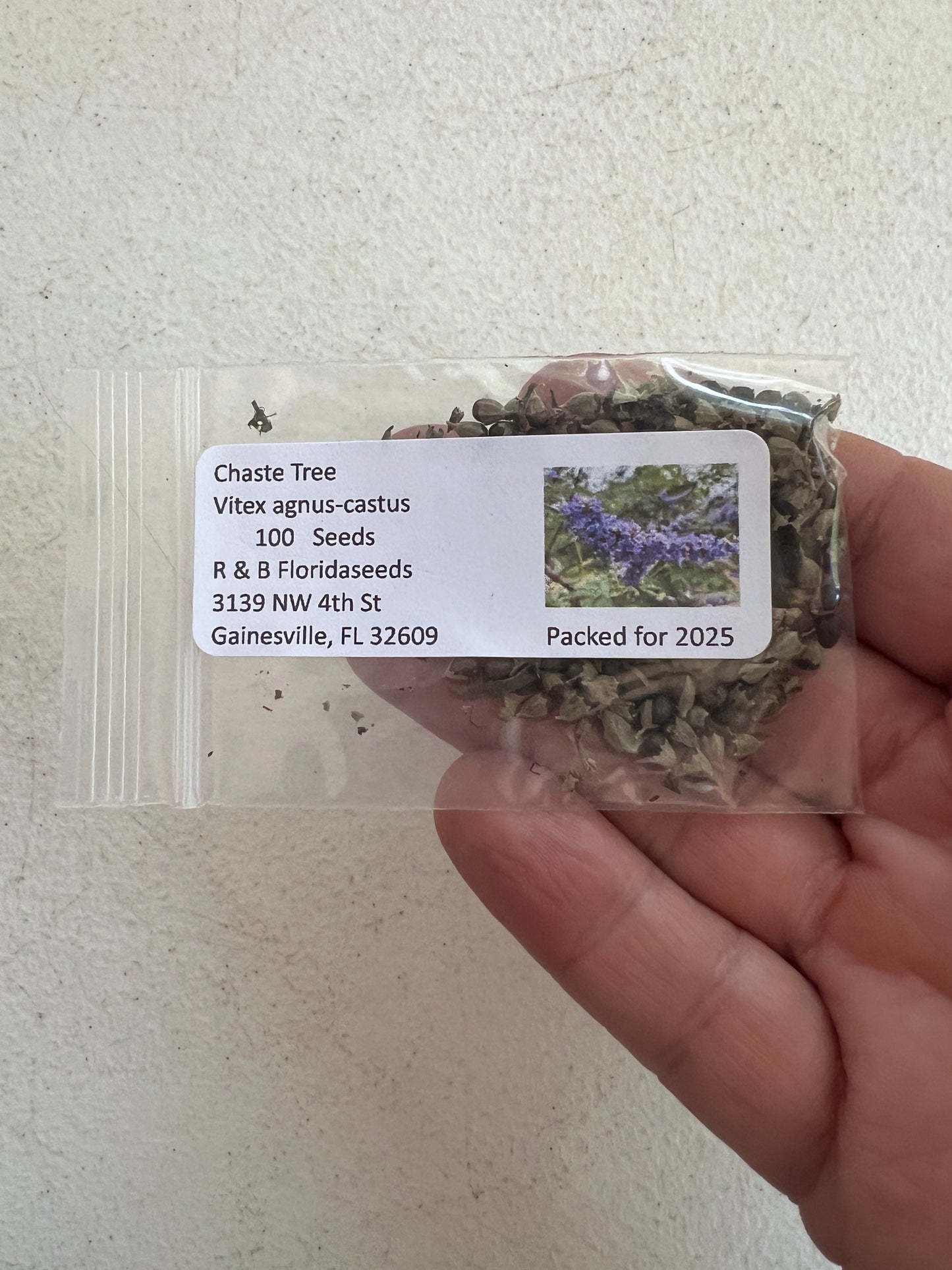 Chaste Tree Vitex agnus-castus 100 Seeds