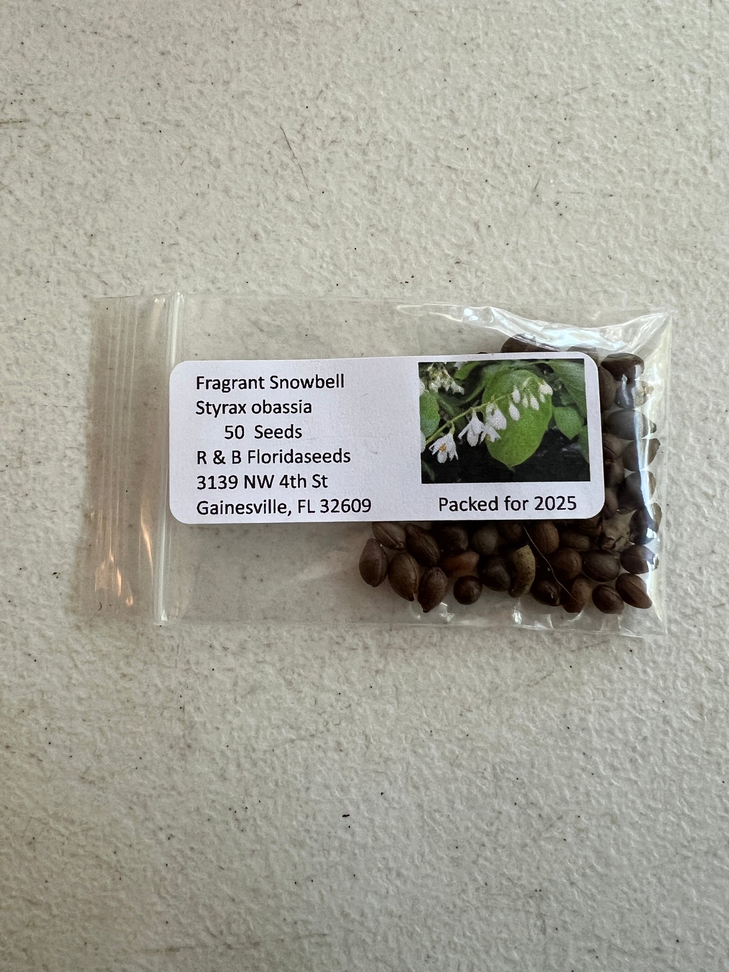 Fragrant Snowbell Styrax obassia 20 Seeds