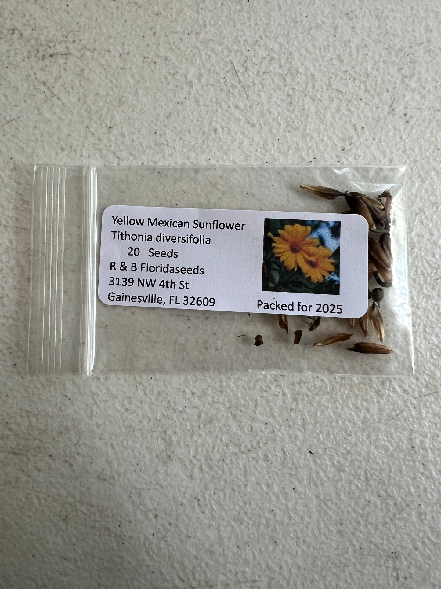 Yellow Mexican Sunflower  Tithonia diversifolia  20 Seeds
