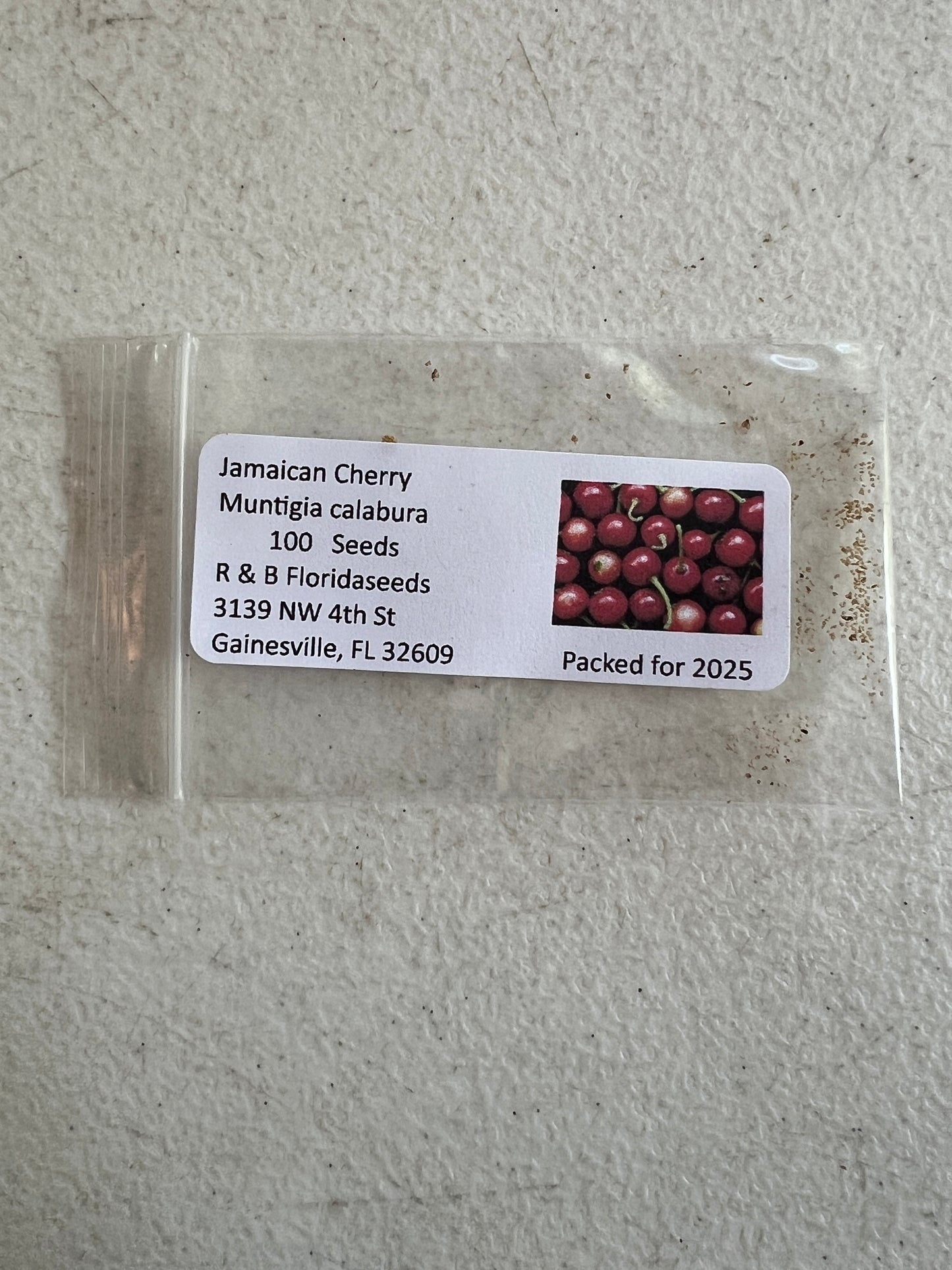 Jamaican Cherry  Muntingia calabura  100 Seeds