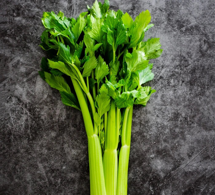 Celery   100 Seeds    Apium graveolens