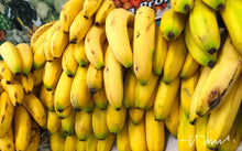 Load image into Gallery viewer, Wild Banana Musa acuminata 20 Seeds