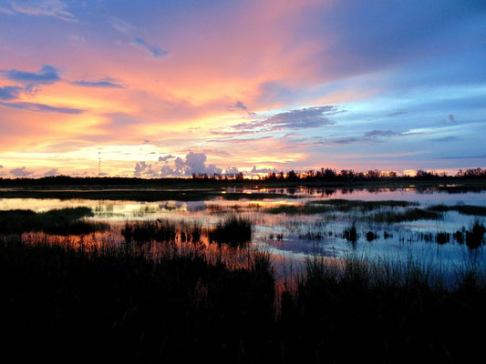 Sunset in the Everglades Photo Color Print