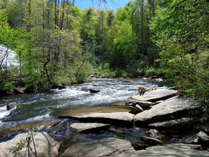Mountain River Appalachian Mountains Photo Color Print