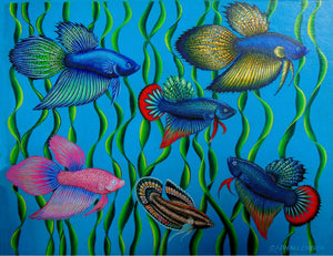 Giclee Print of a Painting of a Group of Siamese Fighting Fish