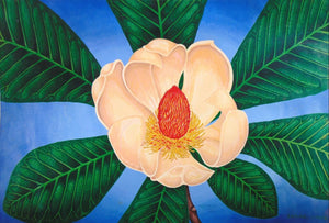 Japanese Bigleaf Magnolia Magnolia obovata Print