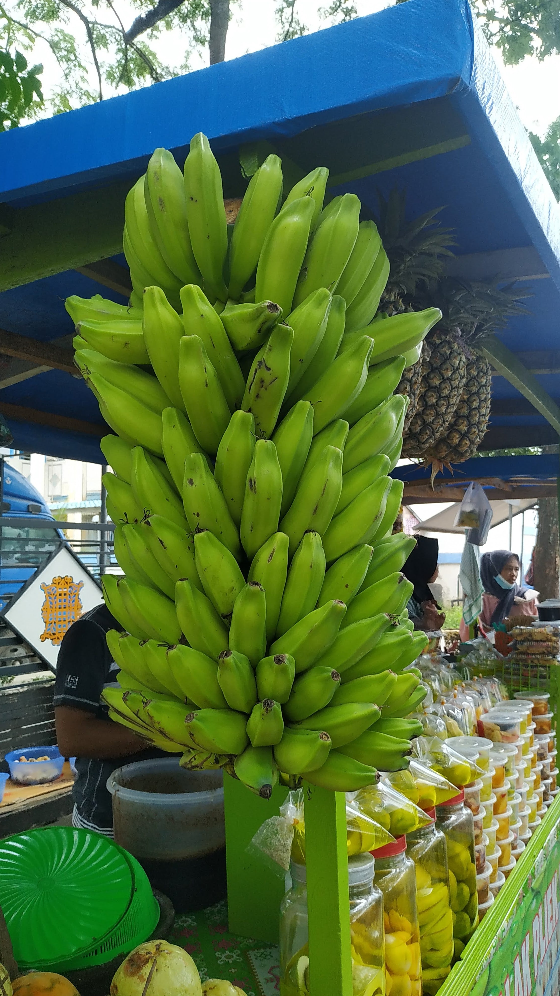 Plantain Banana Musa balbiniana 5 Seeds – R&B Floridaseeds