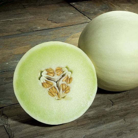 Honeydew Melon Cucumis melo 20 Seeds  USA Company