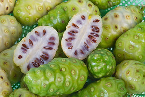 Indian Mulberry Noni Morinda citrifolia 20 Seeds