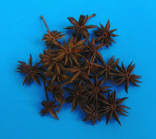 Load image into Gallery viewer, Yellow Anise Illicium parviflorum 10 Dried Pods